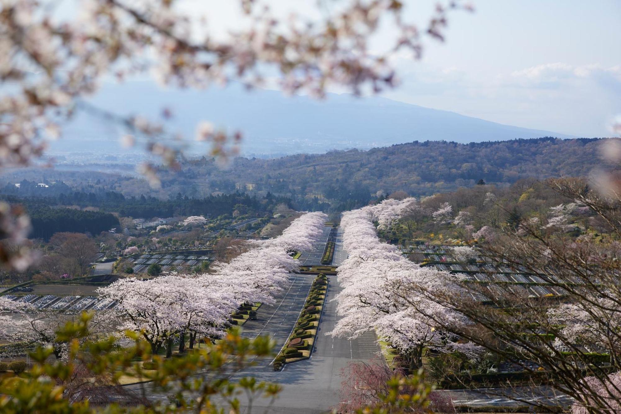 Fuji Speedway Hotel, In The Unbound Collection By Hyatt Oyama  Esterno foto